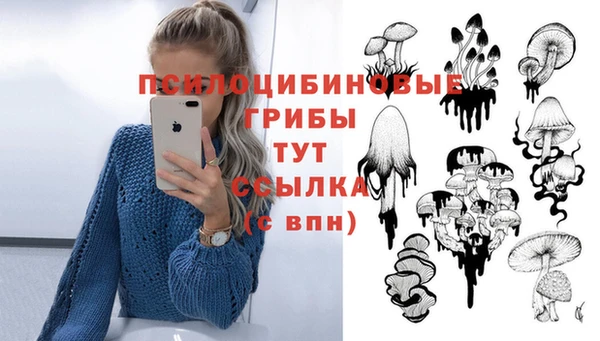 mix Вязьма