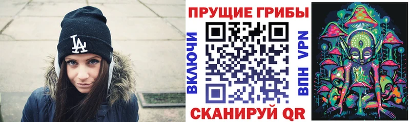 KRAKEN как зайти  Гаврилов Посад  Галлюциногенные грибы Cubensis 